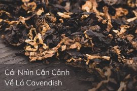 Cái Nhìn Cận Cảnh Về Lá Cavendish